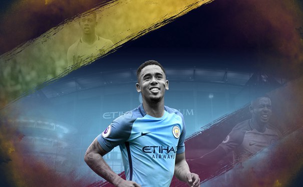 霍芬海姆VS多特蒙德